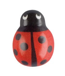 Coccinelle en chocolat