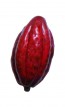 Petit fruit de cacao